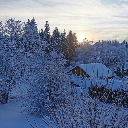 Ferienwohnung "Am Wald" Schmiedefeld am Rennsteig Exteriér fotografie