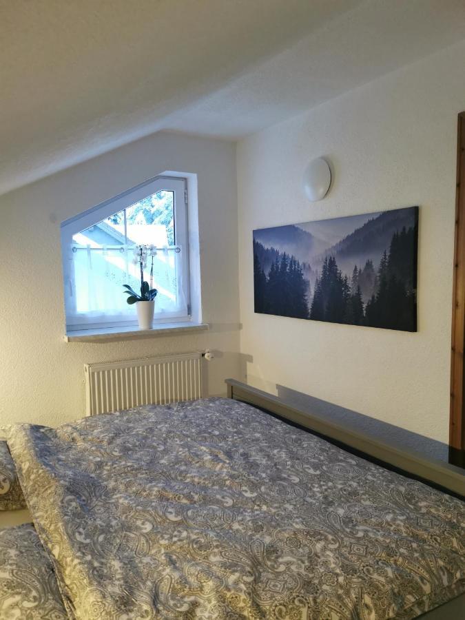 Ferienwohnung "Am Wald" Schmiedefeld am Rennsteig Exteriér fotografie