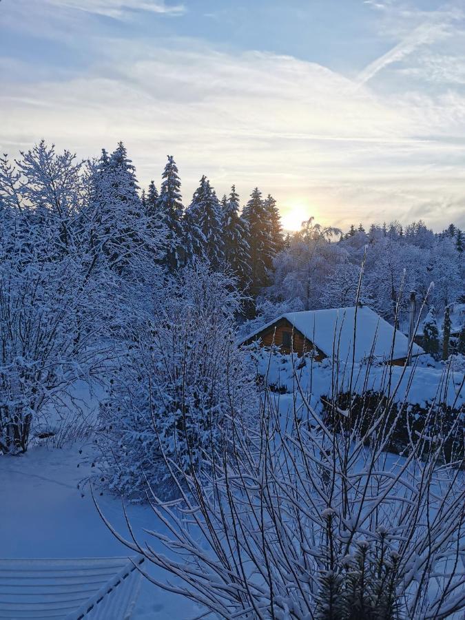 Ferienwohnung "Am Wald" Schmiedefeld am Rennsteig Exteriér fotografie